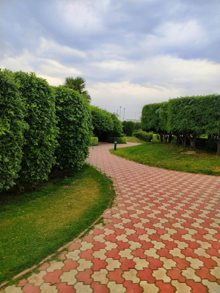 Landscaping